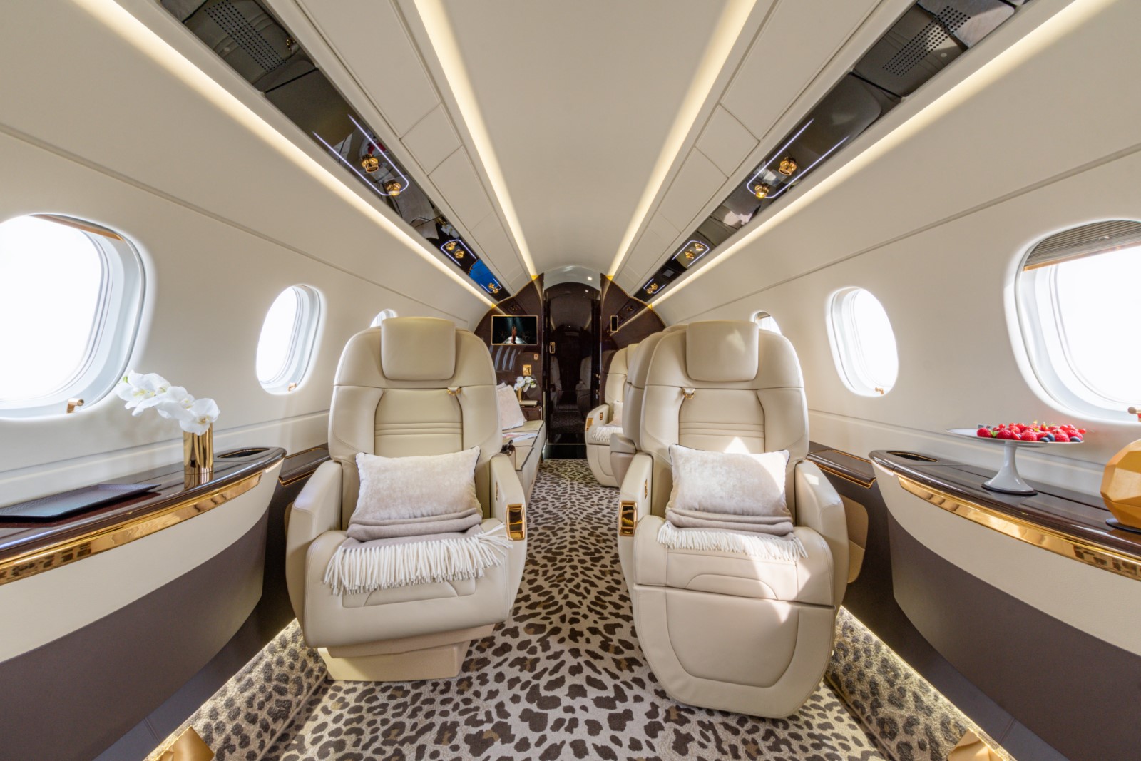 image-plane