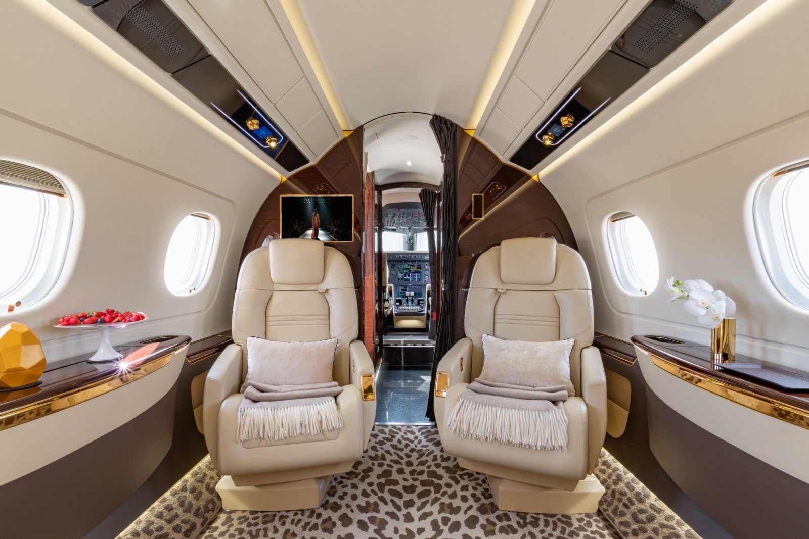 image-plane